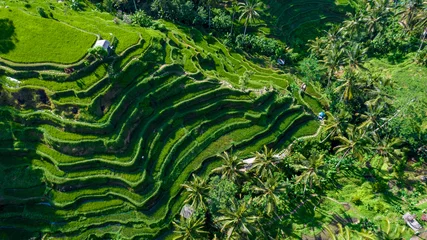 Zelfklevend Fotobehang Beautiful rice terraces on the island of Bali in Indonesia. Top view, aerial photography. © ArturSniezhyn