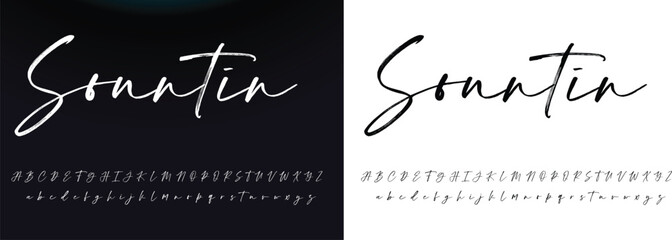 
Signature Font Calligraphy Logotype Script Brush Font Type Font lettering handwritten - obrazy, fototapety, plakaty