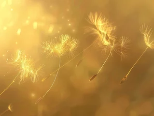  Airborne dandelion seeds, weightlessness captured in golden light , hyper realistic © ItziesDesign