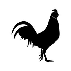 chicken shape icon