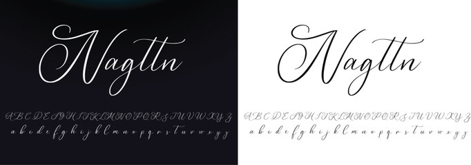 Fototapeta na wymiar signature font alphabet vector illustration isolated Background