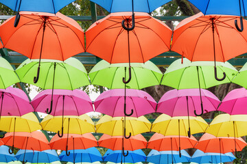 Bottom view of colorful canopy of umbrellas in a park - 772726077