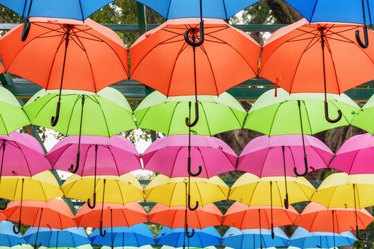 Bottom view of colorful canopy of umbrellas in a park