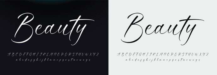 Fototapeta na wymiar Lettering signature font isolated on grey background. brus style alphabet. Vector logo letters.