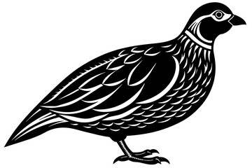 quail-icon-vector-illustration-