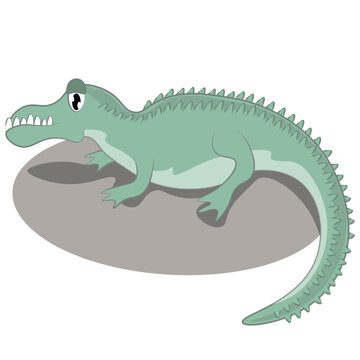 vector illustration of cute cartoon crocodile on white background.
