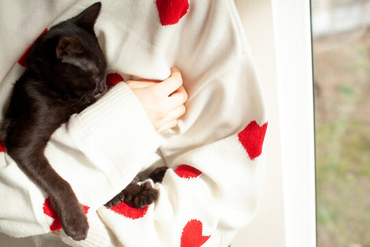 The girl holding the black cat. Friendship between the human and animal. The female dressed the white sweater with red heart. The portrait of young woman holding the kitten with green eyes