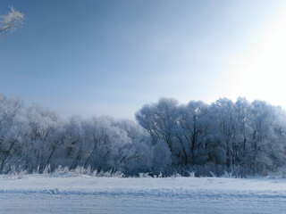 Winter beautiful landscape with trees covered with hoarfrost. - 772742205