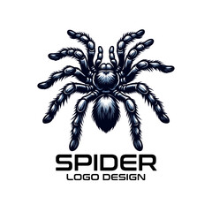 Obraz premium Spider Vector Logo Design