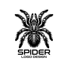 Obraz premium Spider Vector Logo Design