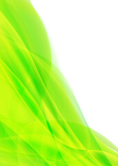 緑イメージ　新緑の木漏れ日の背景素材