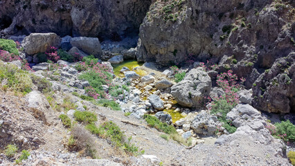 a gorge with colorful plants on the island of Crete (Greece)