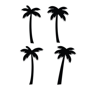 Palm tree silhouette. palm trees set