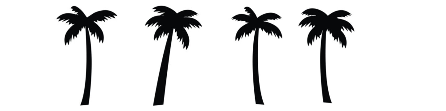 palm tree clipart outline