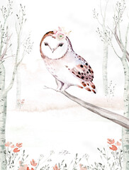 Woodland watercolor cute animals baby owl. Scandinavian owls on forest nursery poster design. Isolated charecter