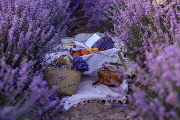 Picnic in a lavender field in Provence. Fantastic summer mood, floral landscape with lavender flowers. Quiet, bright and relaxing natural scenery.