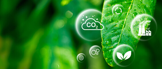 Reduce CO2 emission concept in the hand for environmental, global warming, Sustainable development and green business based on renewable energy.CO2 icon on green leaf with water droplet.