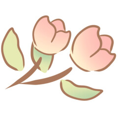 Floral bouquet, flowers 