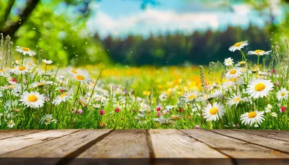 Tuinposter Close-up an empty wooden table with A serene spring landscape unfolds, adorned with vibrant meadow flowers and daisies nestled among the lush green grasses, spring flowers on a wooden background © Sajjad-Farooq-Baloch