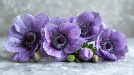   A group of purple flowers sat atop a white countertop beside each other on a table