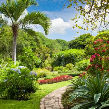 Garden of Eden: Lush Terrestrial Paradise from Genesis beautiful background and wallpaper