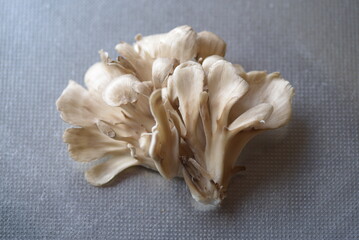 Maitake mushroom has a higher nutritional value.
