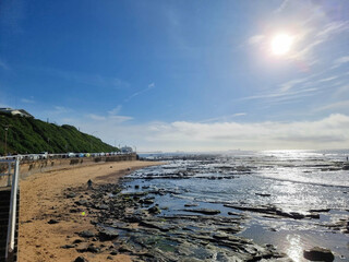 Fototapeta premium Looking over the Cowrie Hole from Newcastle Baths New South Wales, Australia early in the morning at low tide