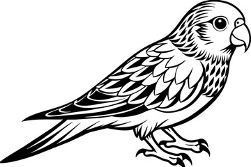 canary-winged-parakeet-icon--vector-illustration