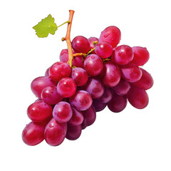 Fototapeta premium Red grapes