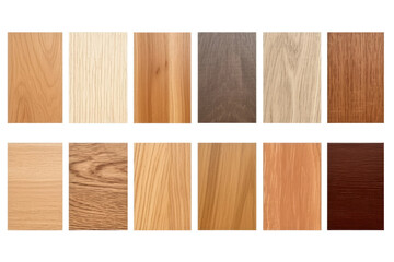 Symphony of Woods: A Kaleidoscope of Timber Textures. On a Clear PNG or White Background.