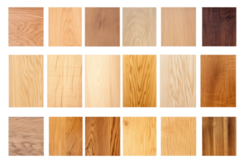 Symphony of Woods: A Blend of Natures Textures.. On a Clear PNG or White Background.