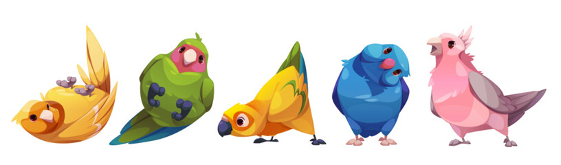Parrot characters with beak, wing and tales with multicolored feathers standing and laying. Cartoon vector set of cute funny different colorful friendly exotic bird species. Tropical animals and pets.