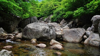 Naklejka na ściany i meble Scenery of the clean valley of Jiri Mountain in Korea
