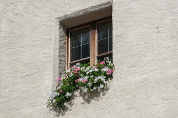 Fototapeta na wymiar Fenster eines antiken Gebäudes mit Blumen davor