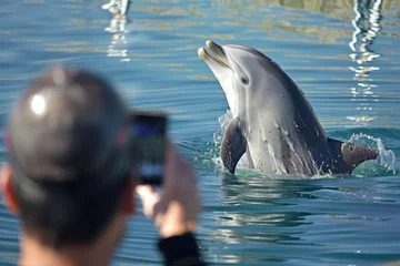 Fotobehang a tourist snaps photos of a dolphin rescue in progress © studioworkstock