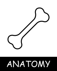 Bone line icon. Tendons, health, calcium, skeleton, anatomy, medicine, training, doctor, nurse, human, body, physiology. Vector line icon for business and advertising