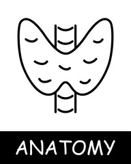 Pelvic bone line icon. Spine, calcium, skeleton, anatomy, medicine, training, doctor, nurse, human, body, physiology. Vector line icon for business and advertising