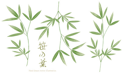 水彩で描いた笹の葉のイラスト