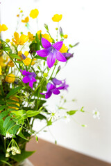 Bright colorful bouquet of wild flowers with bluebell in vase indoor on white background