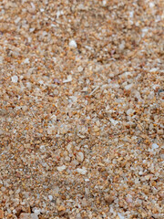 Surface of sand gravel and small fragments of broken shells on beach - 772791808
