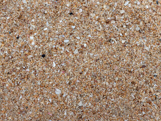 Surface of sand gravel and small fragments of broken shells on beach - 772791816