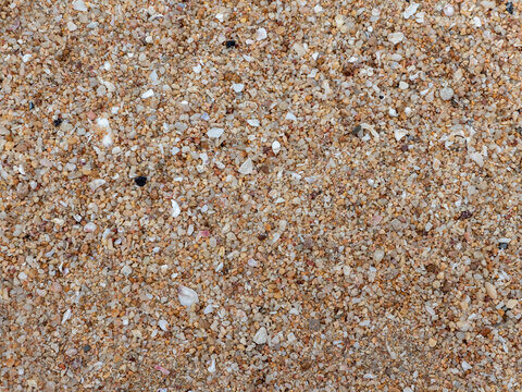 Surface of sand gravel and small fragments of broken shells on beach