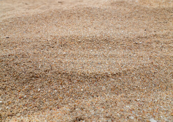 Surface of sand gravel and small fragments of broken shells on beach