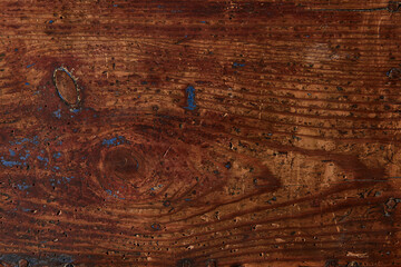 old bark beetle damaged wooden board with paint flakes