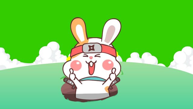 Rabbit ninja animation on green screen