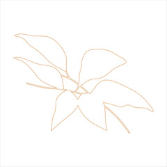 Outline beige abstract floral vector element