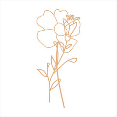 Outline beige abstract floral vector element