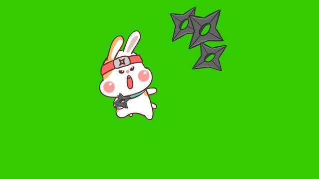 fighting animation, rabbit ninja on green screen