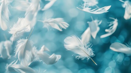 White feathers floating in blue light - obrazy, fototapety, plakaty