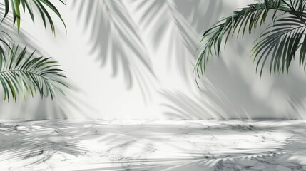 Palm Tree Casts Shadow on Wall
